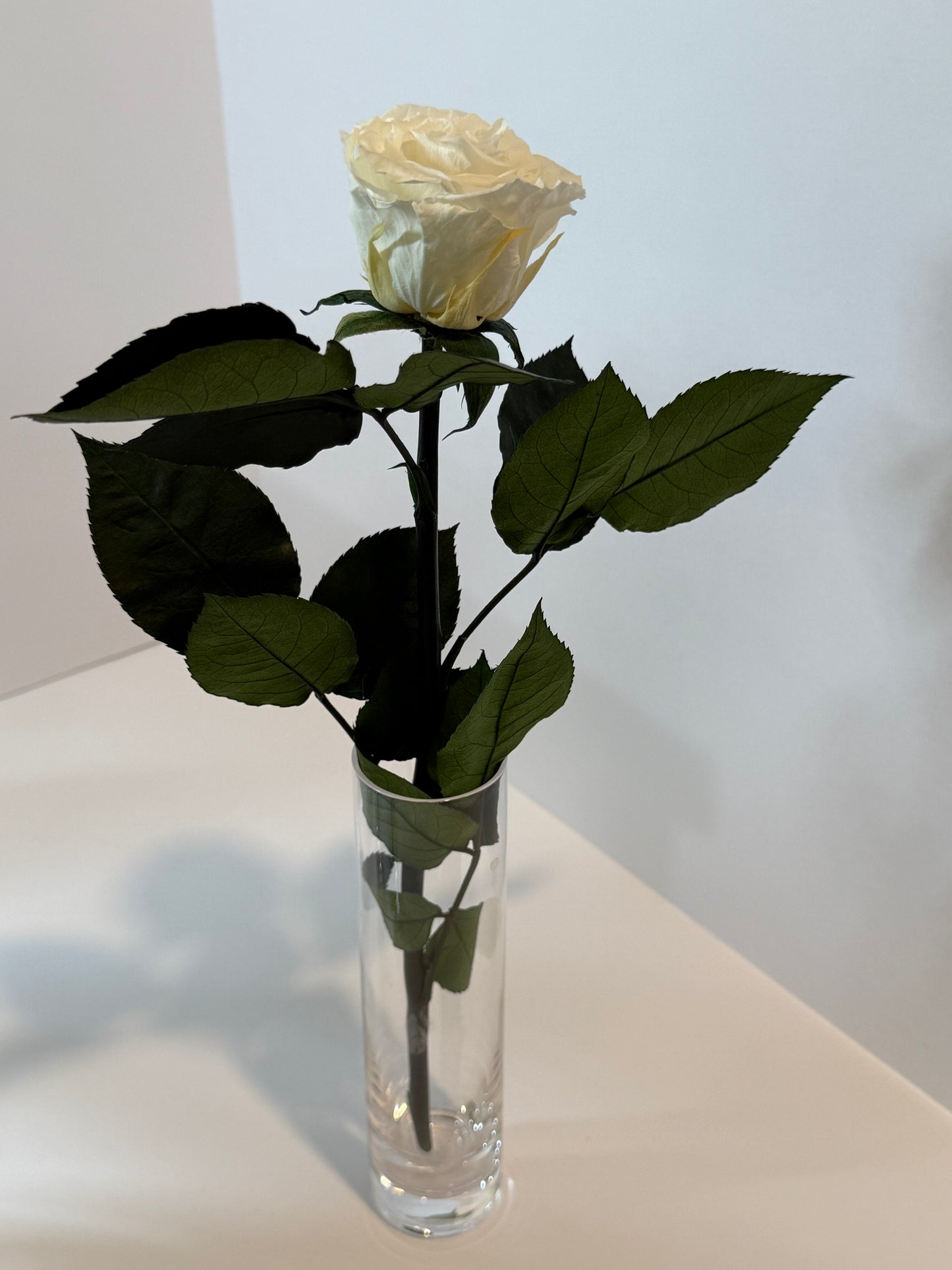White rose