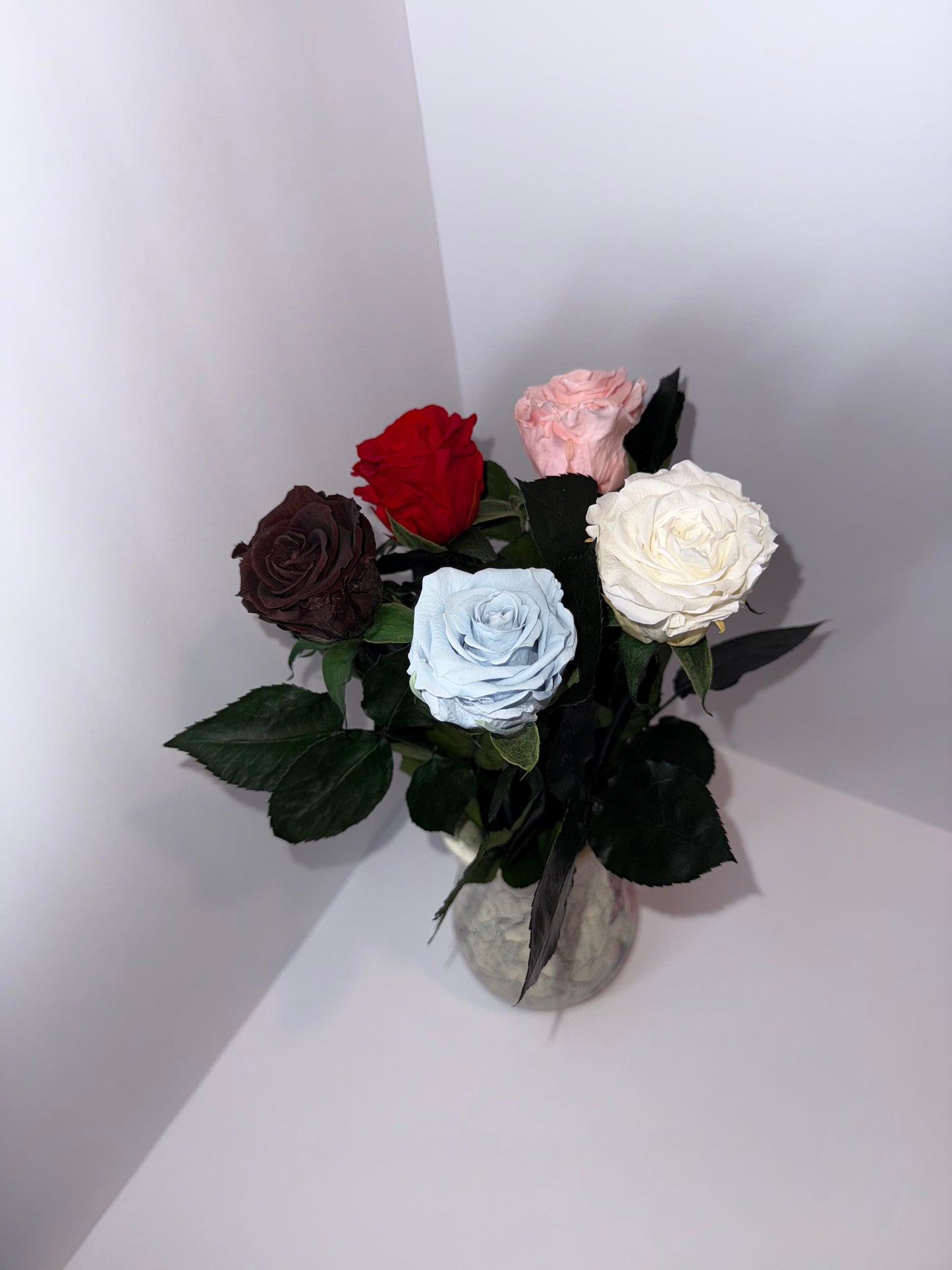 Blue rose