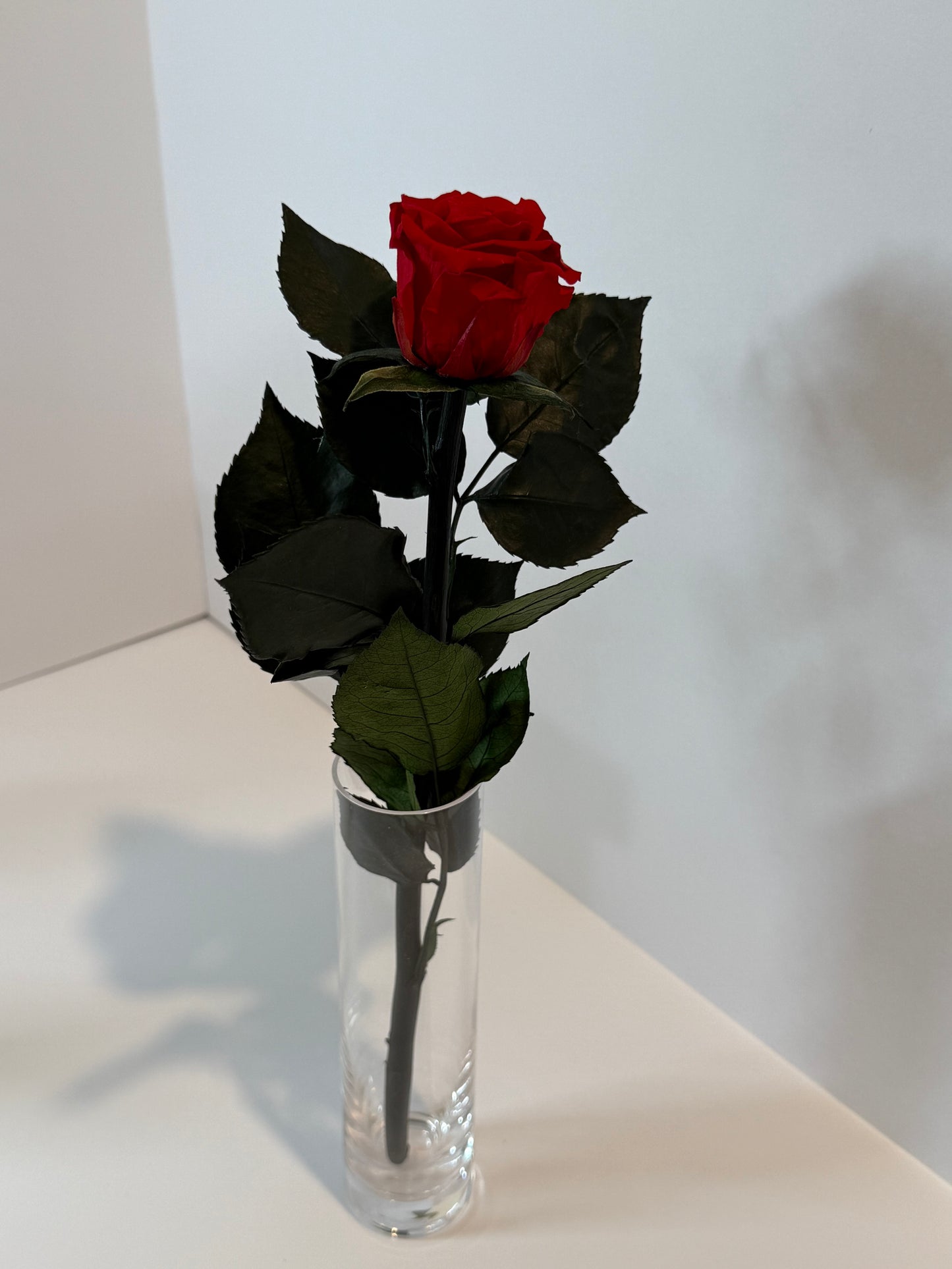 Red rose