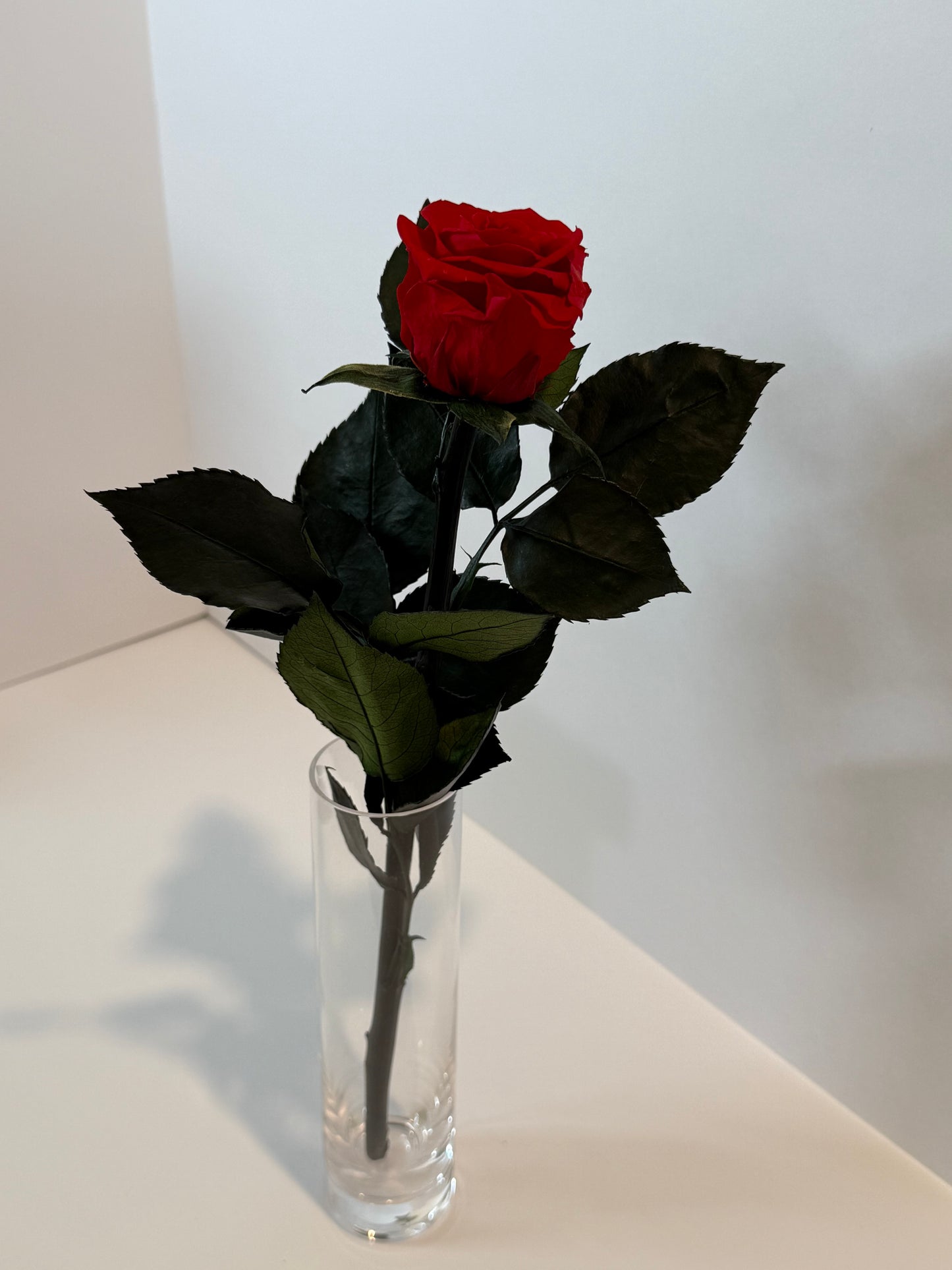 Red rose