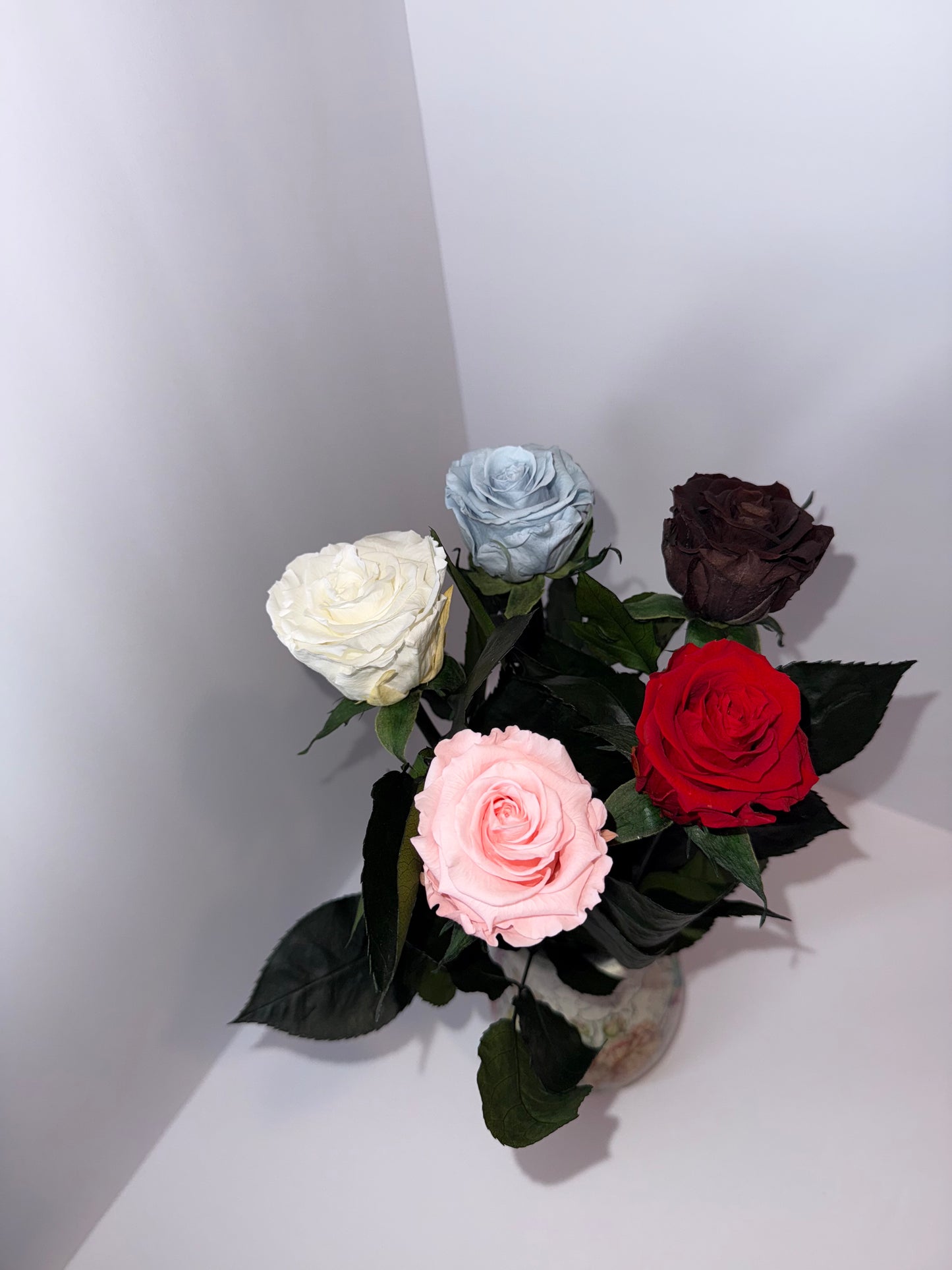 PInk rose
