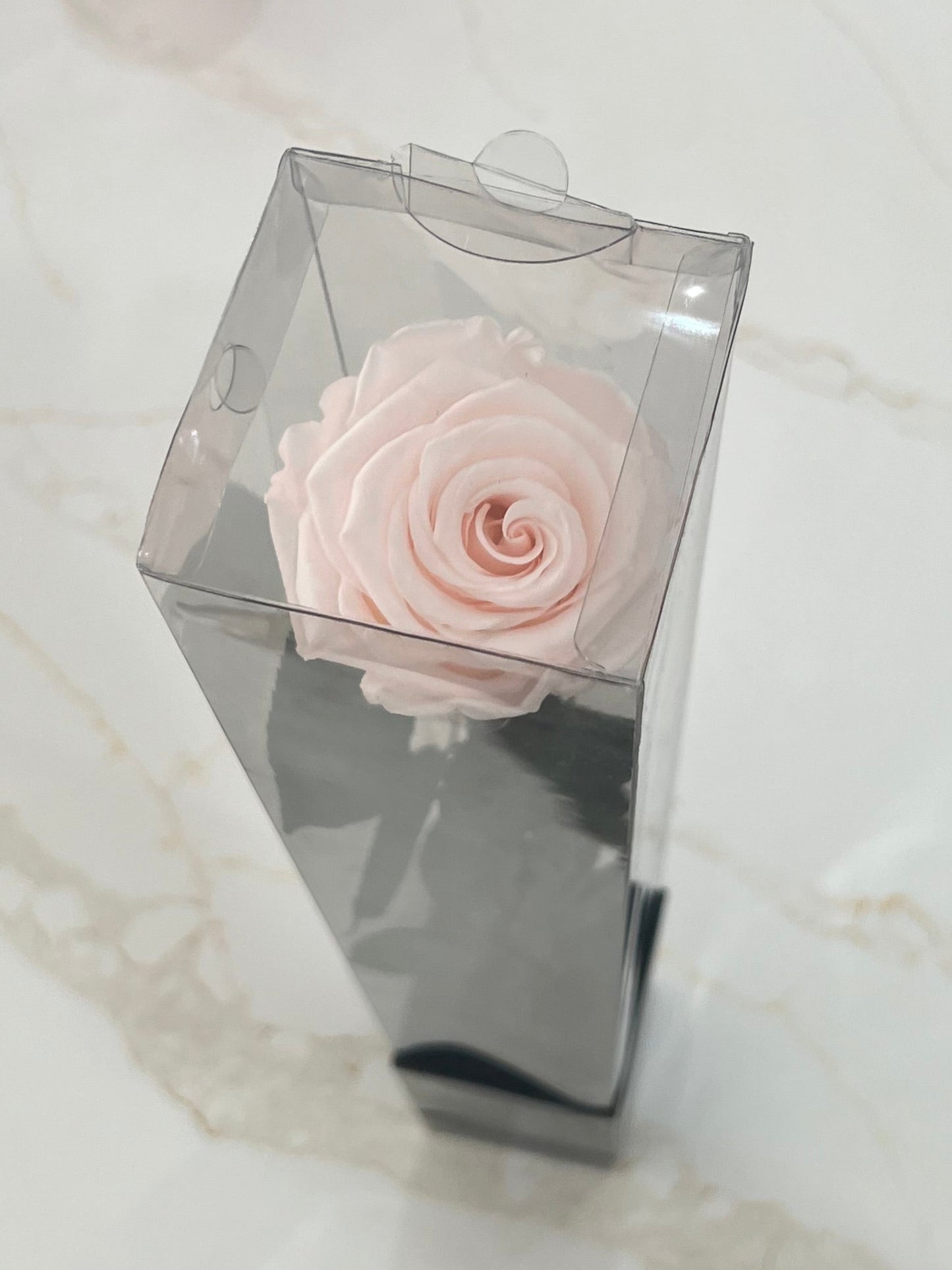 Single Ecuadorian Preserved Rose in a Clear PVC Box